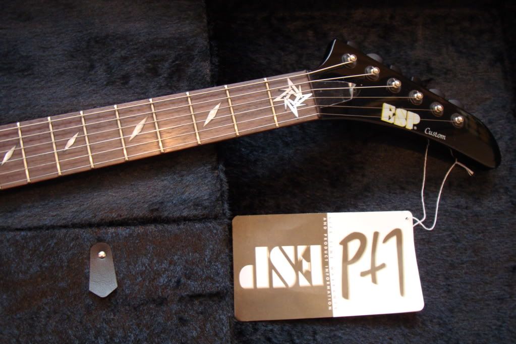 james hetfield signature explorer